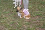 DSC02213.jpg