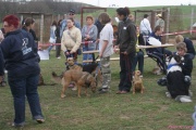 DSC02220.jpg