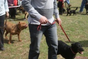 DSC02268.jpg