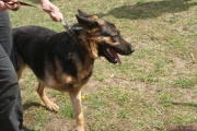 DSC02272.jpg