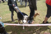 DSC02278.jpg