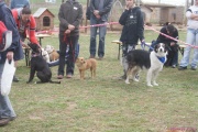 DSC02284.jpg