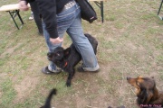 DSC02302.jpg