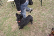 DSC02303.jpg