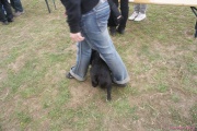 DSC02304.jpg