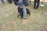 DSC02305.jpg