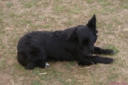 DSC02321.jpg