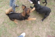 DSC02335.jpg