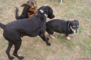 DSC02345.jpg
