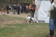DSC02362.jpg