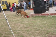 DSC02377.jpg