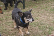 DSC02388.jpg
