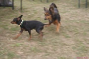 DSC02394.jpg