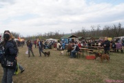 DSC02403.jpg