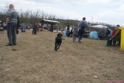 DSC02417.jpg