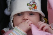 DSC02423.jpg