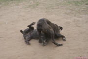 DSC02429.jpg