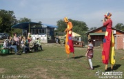 _mg_6385.jpg