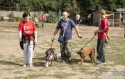 _mg_6478.jpg