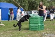 _mg_6674.jpg