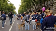 dsc00235_1200x675.jpg