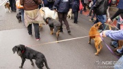 dsc00253_1200x675.jpg