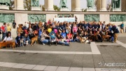dsc00358_1200x675.jpg