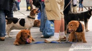 dsc00388_1200x675.jpg