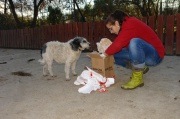 dsc00514.jpg