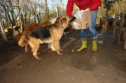 dsc00534.jpg