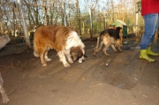 dsc00540.jpg