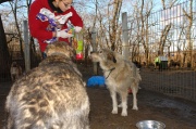 dsc00557_2.jpg