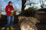 dsc00560_2.jpg