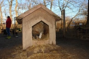 dsc00561.jpg