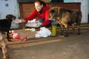 dsc00588_3.jpg