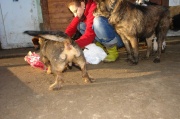 dsc00592.jpg