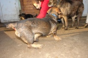 dsc00593.jpg