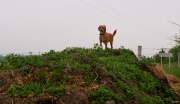 dsc00695.jpg