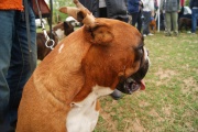 dsc00702.jpg