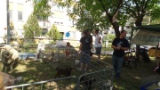dsc00703_3.jpg
