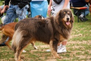 dsc00710.jpg