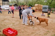 dsc00742.jpg