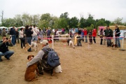 dsc00754.jpg