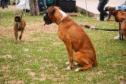 dsc00773.jpg