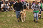 dsc00838.jpg