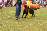 dsc00846.jpg