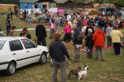 dsc00965.jpg