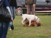 dsc00980.jpg