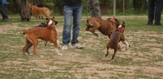 dsc00982.jpg