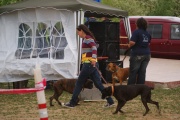 dsc00992.jpg
